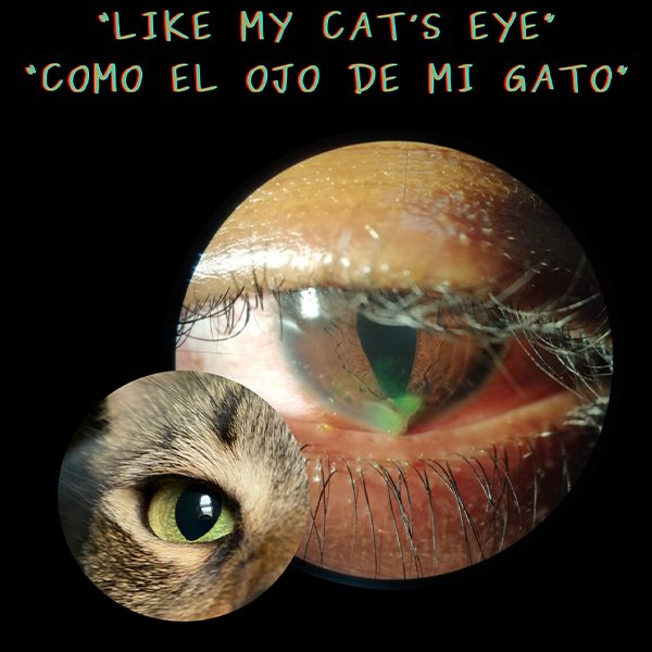 Como el ojo de mi gato