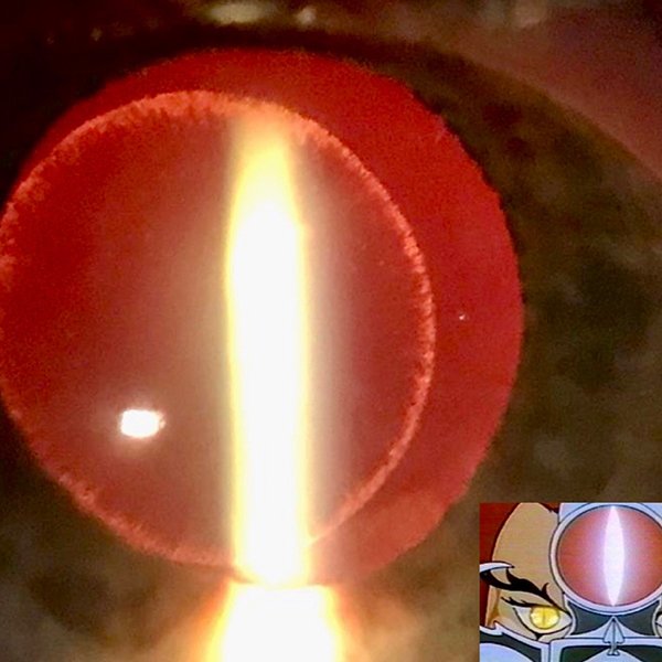 Ojo de Thundercat