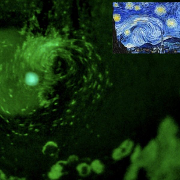 Cornea estrellada
