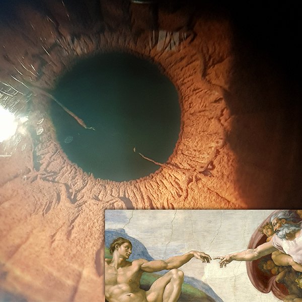 La Creación de Adán
