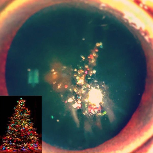 Catarata en árbol de navidad