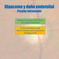 El glaucoma y sus tratamientos como causa de daño edotelial